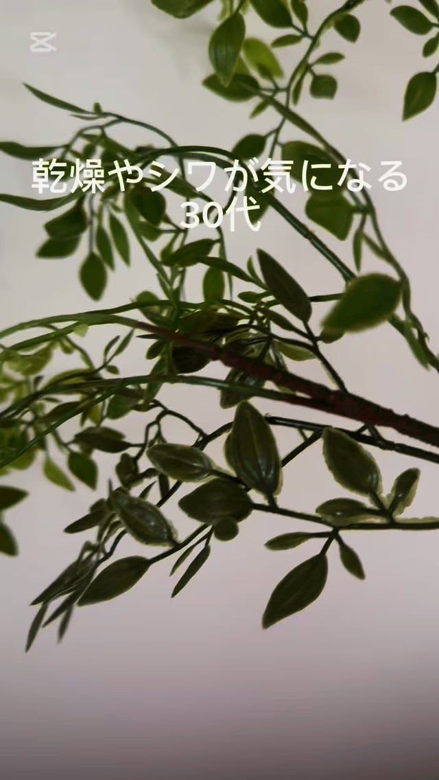 ビカンヌ パワーリッチエッセンス/美カンヌ化粧品/化粧水を使ったクチコミ（1枚目）