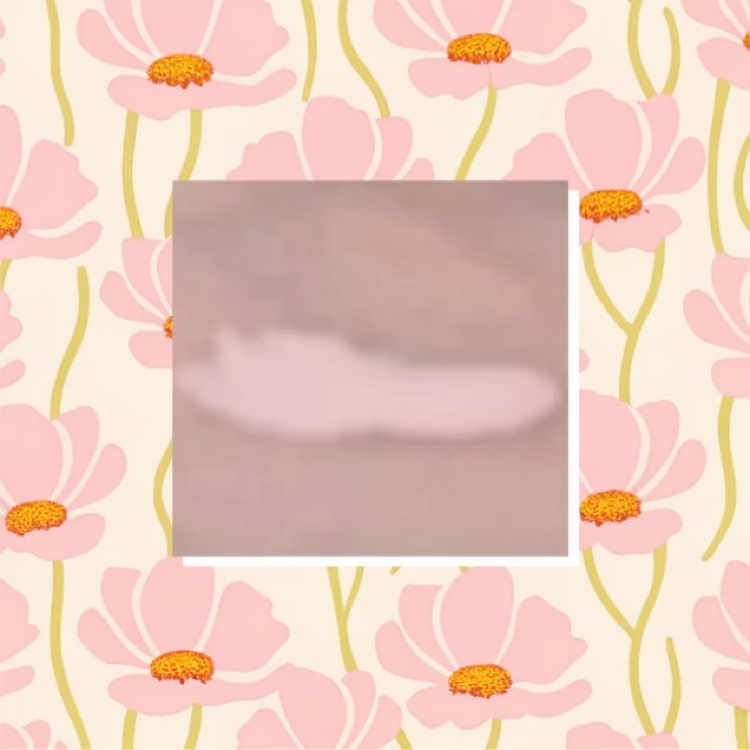 キスミー フェルム ベースディレクション　カラーコントロールプライマー/キスミー フェルム/化粧下地の動画クチコミ1つ目