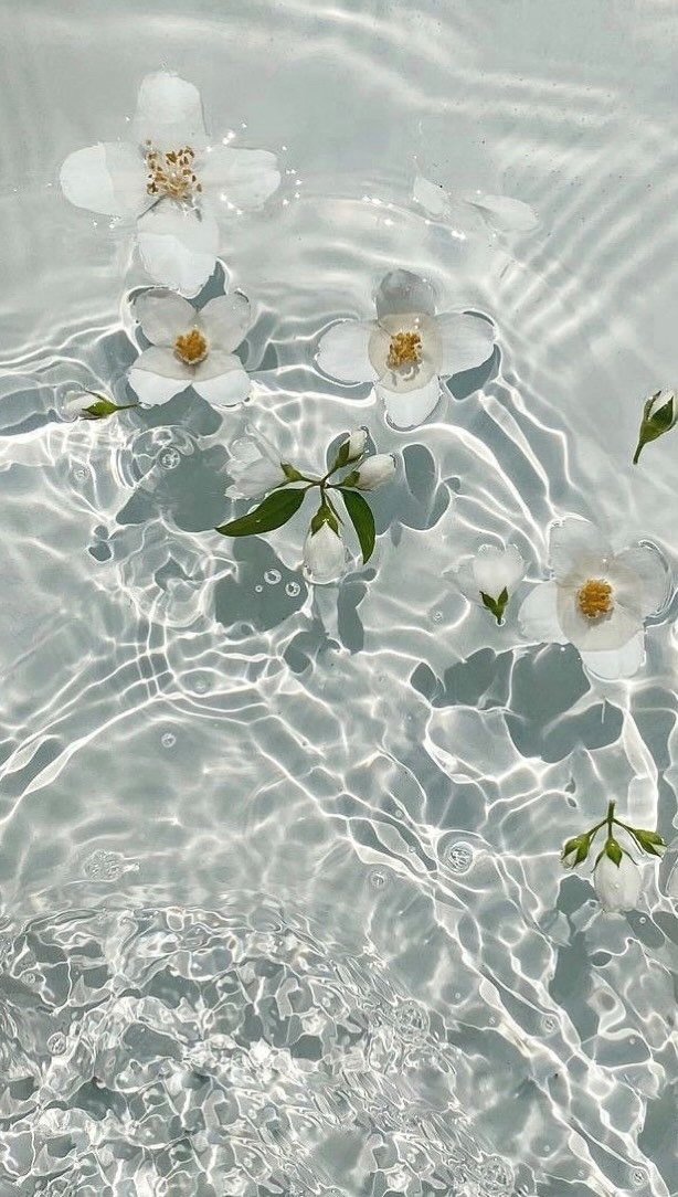 1/3セービングコットンパッド/ilso/コットンの人気ショート動画