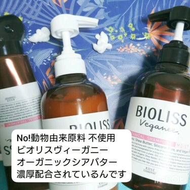 試してみた】ボタニカル シャンプー/ヘアコンディショナー(モイスト
