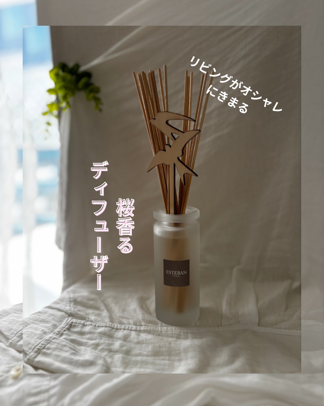ESTEBAN  チェリーブロッサムラタンブーケ ディフューザー/ESTEBAN/ルームフレグランスの動画クチコミ1つ目