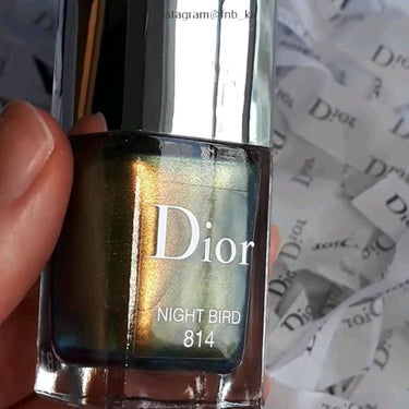 ディオール ヴェルニ＜バーズ オブ ア フェザー＞/Dior/マニキュアを使ったクチコミ（1枚目）