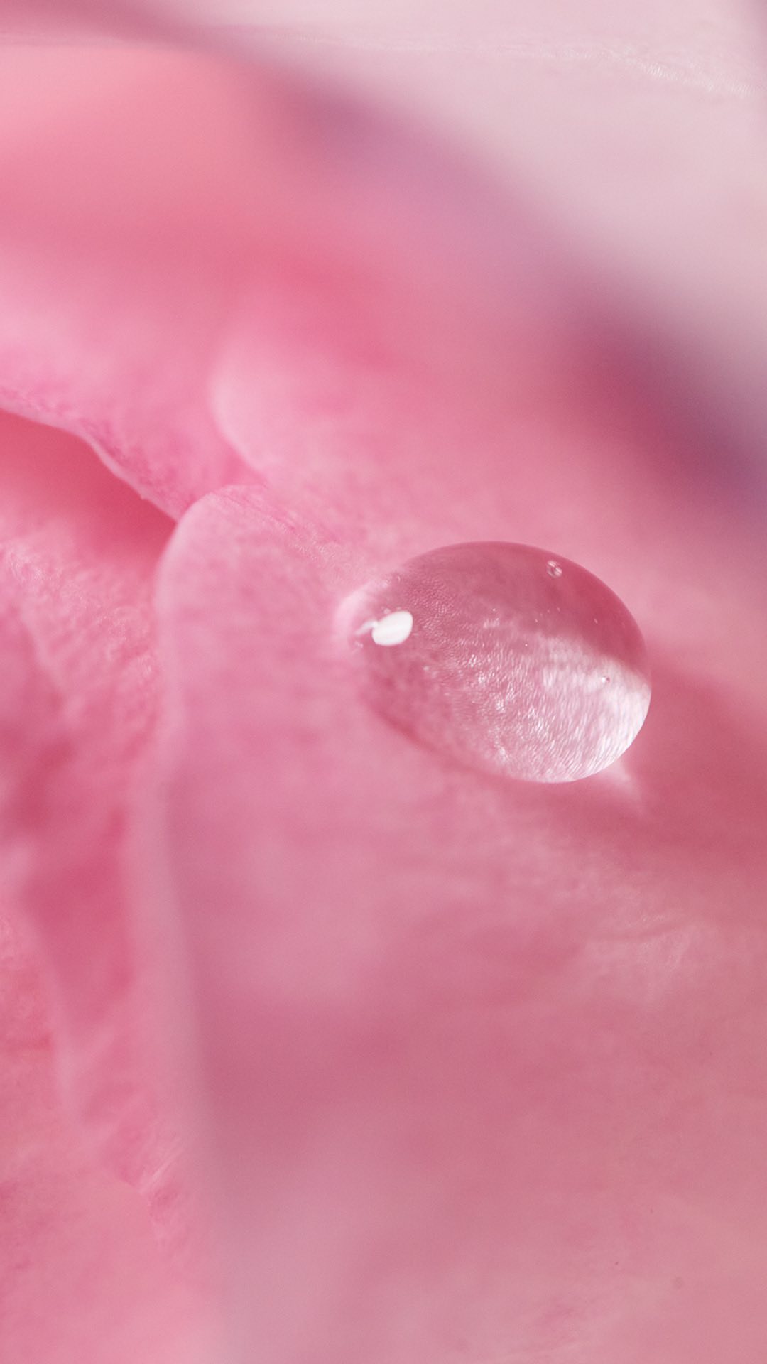 しっとりと潤う早朝―
あるいは、静寂な夜にそっと宿る澄んだ露のしずく。
その中に映った鮮やかなカラーの世界🌍

しずくのように澄んでいて
生き生きとしたカラー🌱💧✨
唇をとんとんと染め、春のときめきを一足早く感じてください。

𝘊�