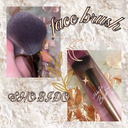 パウダーブラシ(斜め型)/SHOBIDO/メイクブラシを使ったクチコミ(1枚目)