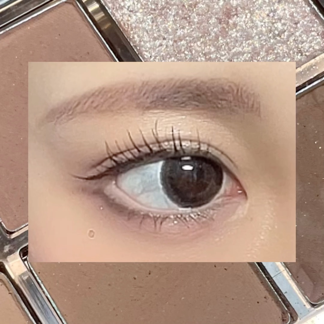 エバーカラーワンデー ナチュラル/エバーカラー/ワンデー（１DAY）カラコンを使ったクチコミ（2枚目）