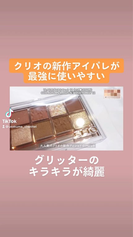 プロ アイ パレット/CLIO/アイシャドウパレットを使ったクチコミ(1枚目)
