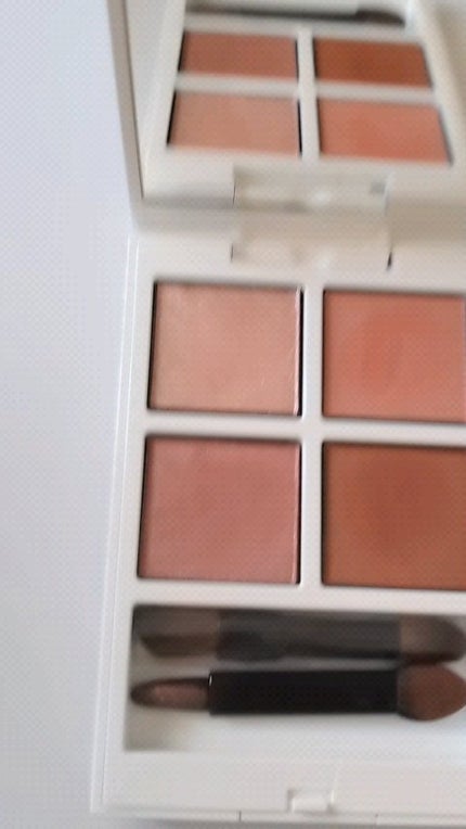 ホリデー アディクション サイレント ウィッシュⅡ /ADDICTION/メイクアップキットを使ったクチコミ(1枚目)