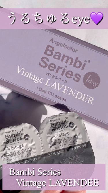 Angelcolor Bambi Series Vintage 1day/AngelColor/ワンデー（１DAY）カラコンの動画クチコミ1つ目