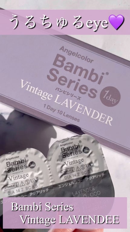 Angelcolor Bambi Series Vintage 1day/AngelColor/ワンデー(1DAY)カラコンの人気ショート動画