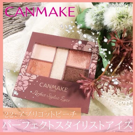 パーフェクトスタイリストアイズ/キャンメイク/アイシャドウパレットを使ったクチコミ(1枚目)