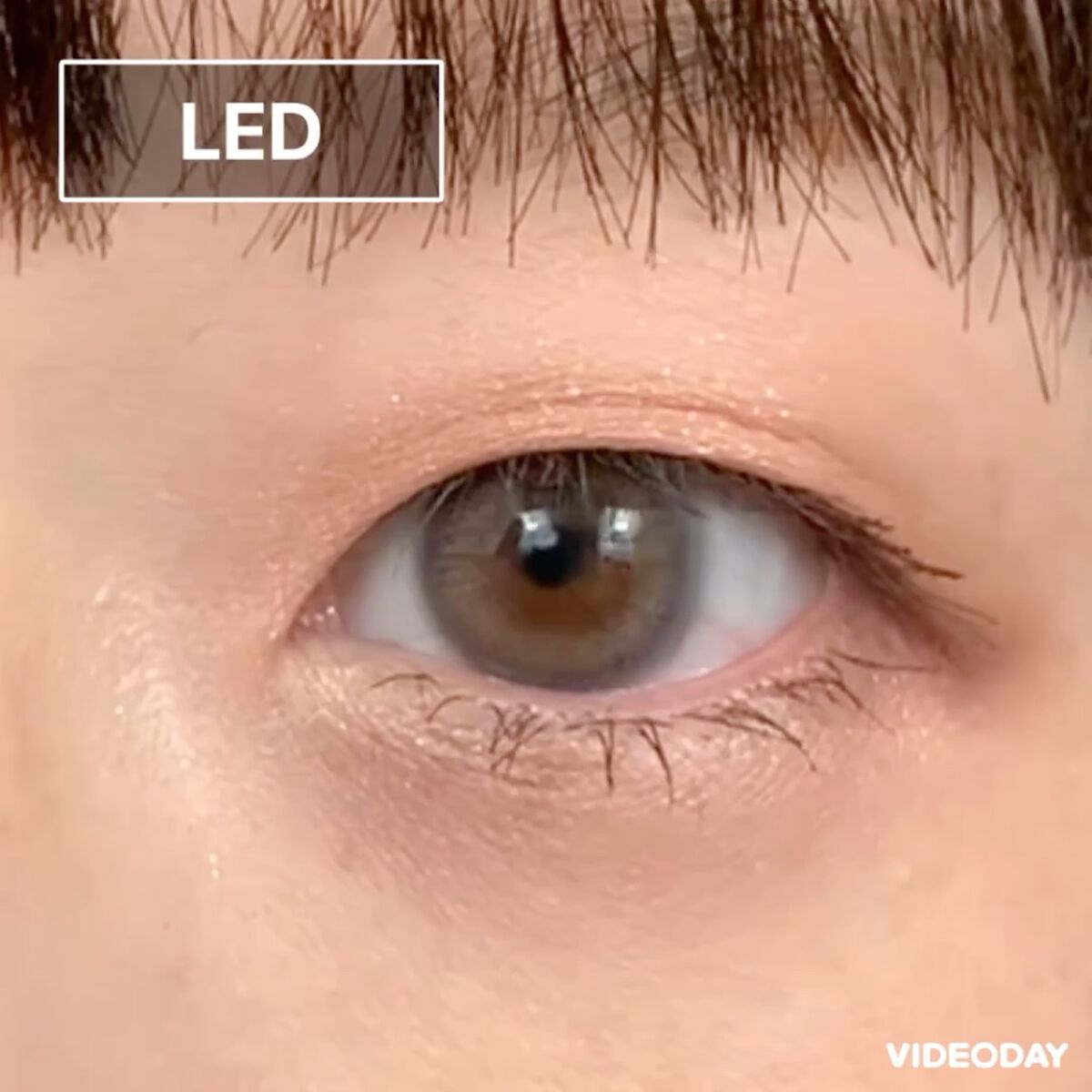 エバーカラーワンデー ルクアージュ/エバーカラー/ワンデー（１DAY）カラコンの動画クチコミ5つ目