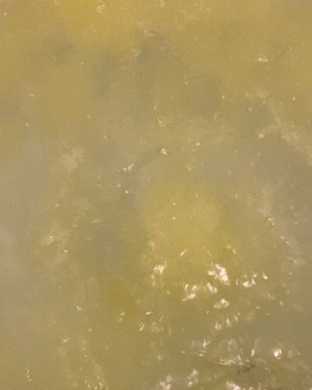 きき湯 クレイ重曹炭酸湯/きき湯/炭酸系入浴剤を使ったクチコミ（3枚目）