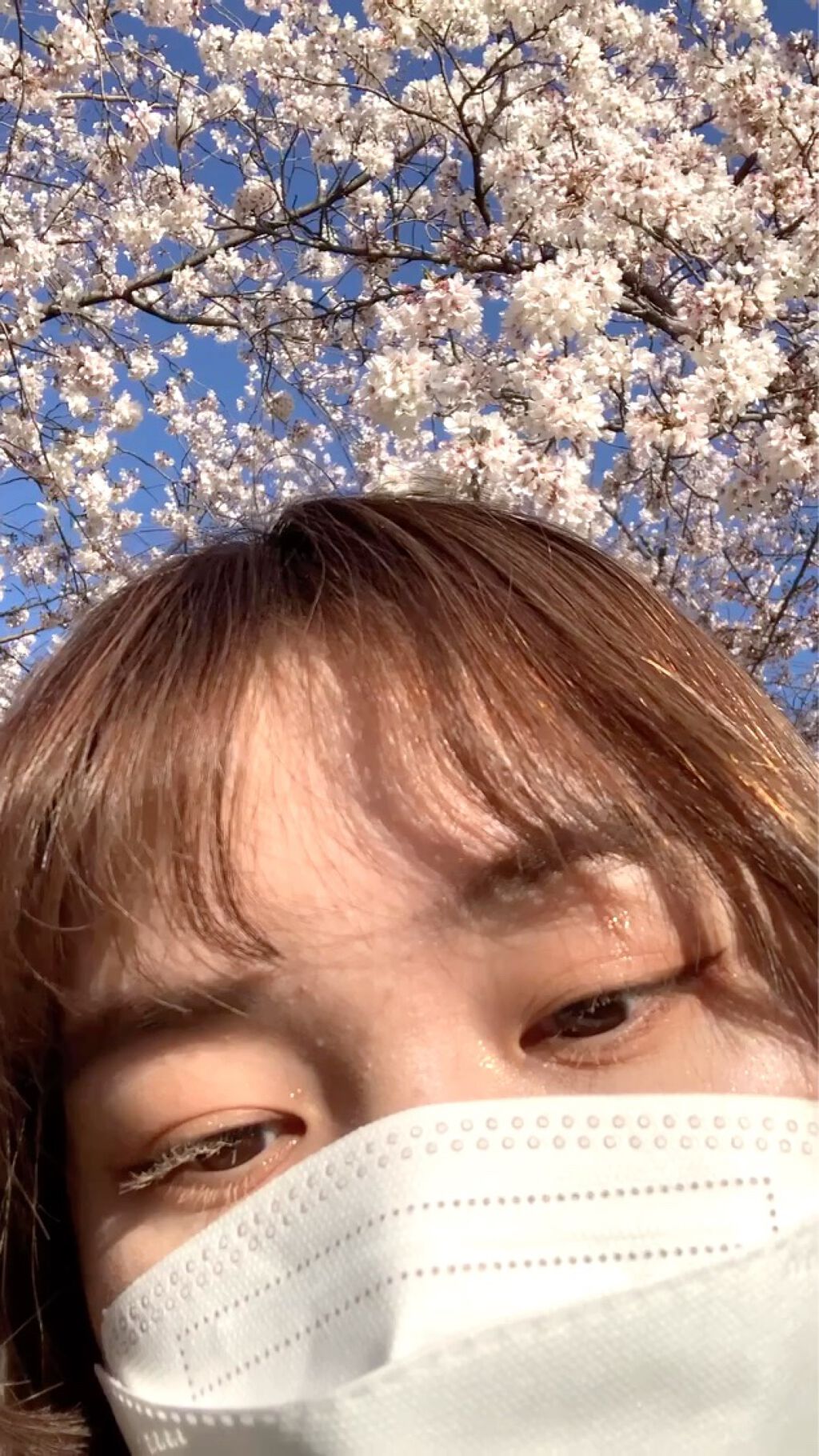 カラーマスカラ/sopo/マスカラの人気ショート動画