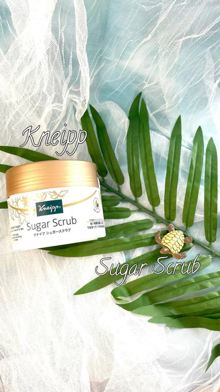 クナイプ シュガースクラブ カメリア&アルガン/クナイプ/ボディスクラブの人気ショート動画