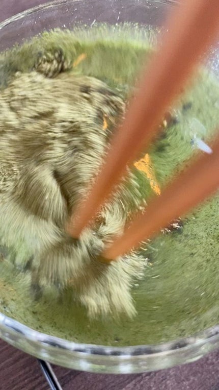 ベジパワープラス/ダイエットドリンク/ドリンクの人気ショート動画