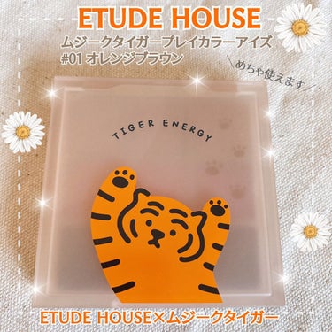 ムジークタイガープレイカラーアイズ/ETUDE/アイシャドウパレットを使ったクチコミ（1枚目）