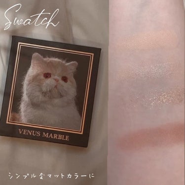 Venus Marble アイシャドウキャットシリーズ/Venus Marble/アイシャドウパレットを使ったクチコミ（3枚目）