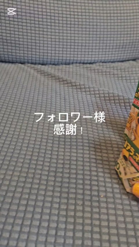 コアラのマーチ　マスコット付きリップクリーム/SHOBIDO/リップクリームの動画クチコミ2つ目