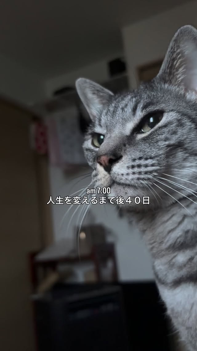 リッチモイストクレンジング/肌ナチュール/クレンジングクリームの動画クチコミ1つ目