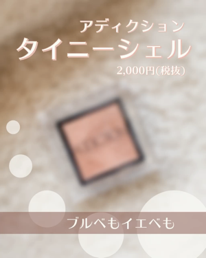 アディクション ザ アイシャドウ/ADDICTION/単色アイシャドウを使ったクチコミ（1枚目）