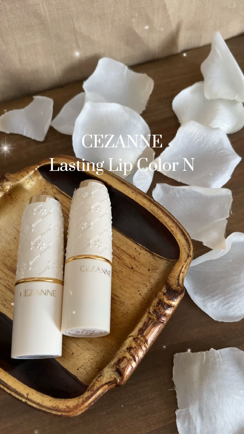 ラスティング リップカラーN/CEZANNE/口紅の人気ショート動画