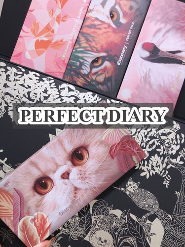  - PERFECT  DIARY [ エクスプ