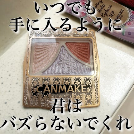 ラスティングマルチアイベース WP/キャンメイク/アイシャドウベースの人気ショート動画