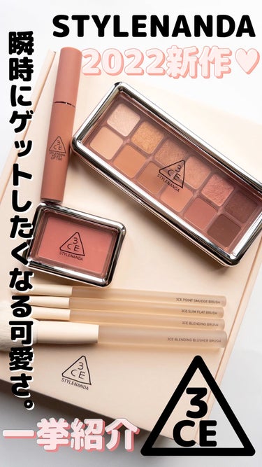 3CE NEW TAKE EYESHADOW PALETTE/3CE/アイシャドウを使ったクチコミ（1枚目）