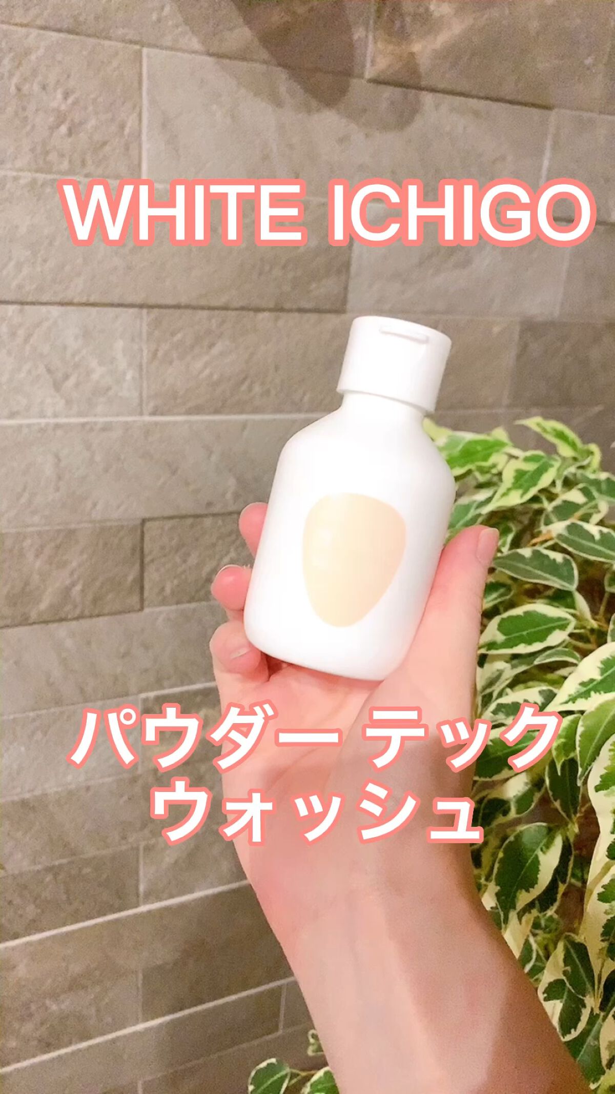 パウダーテック・ウォッシュ/WHITE ICHIGO/洗顔パウダーの動画クチコミ5つ目