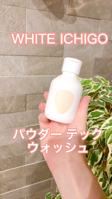 パウダーテック・ウォッシュ/WHITE ICHIGO/洗顔パウダーの人気ショート動画