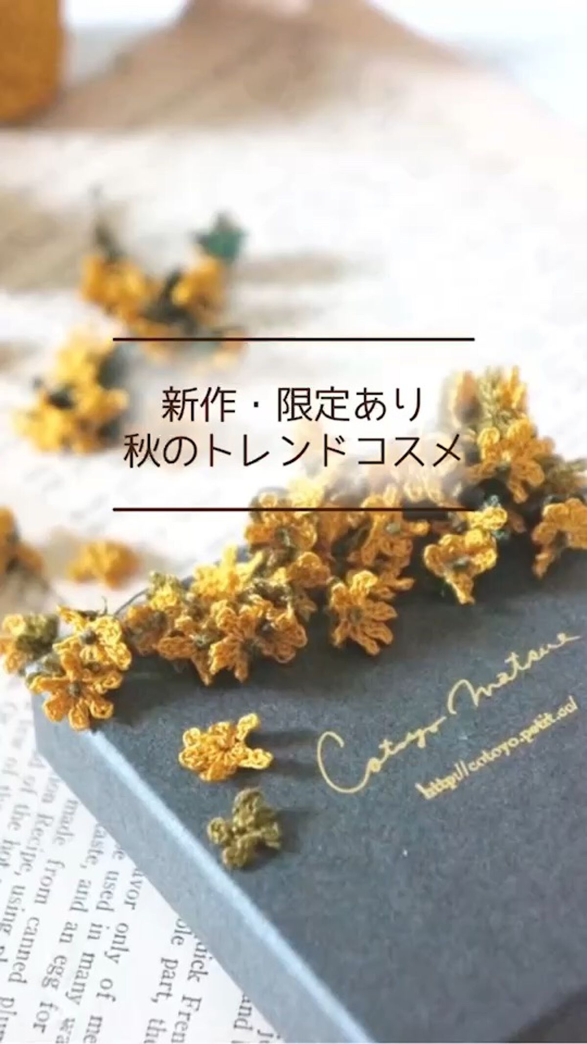 新作や限定アイテムもあり！
秋先取りのトレンドコスメ🍎
#美容 #トレンドコスメ