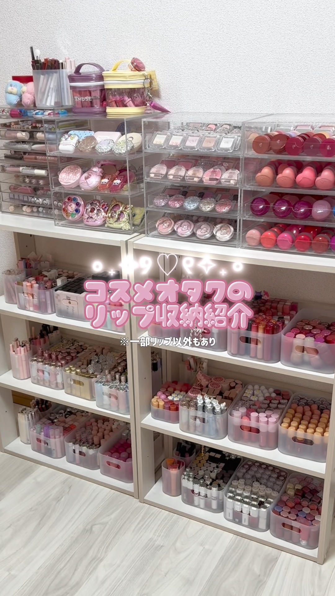 コスメオタクのリップ収納紹介💄
⁡
引っ越しや管理を楽にするために簡易的なものにしています！
⁡
その他コスメ収納はコスメ収納ハイライトにまとめているのでぜひご覧ください💓
⁡
⁡
リップ収納に使っているもの
⚫︎棚 アイリスオーヤマ 