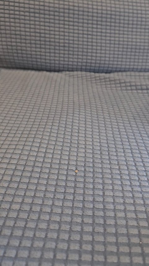 メンソレータム フラッシュティントリップ/メンソレータム/リップティントの人気ショート動画