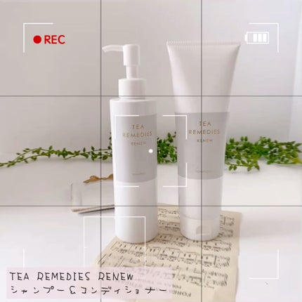 TEA REMEDIES RENEW シャンプー/TEA REMEDIES/市販シャンプーの人気ショート動画