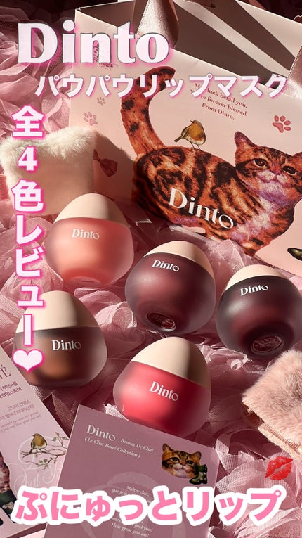 チャビもちゼリーパウパウリップマスク/Dinto/リップマスクの人気ショート動画