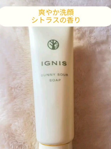 サニーサワー ソープ/IGNIS/洗顔フォームの動画クチコミ4つ目