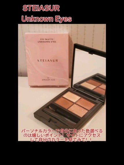 アンノウンアイズ/STEIASUR(ステイアシュール)/アイシャドウパレットの人気ショート動画