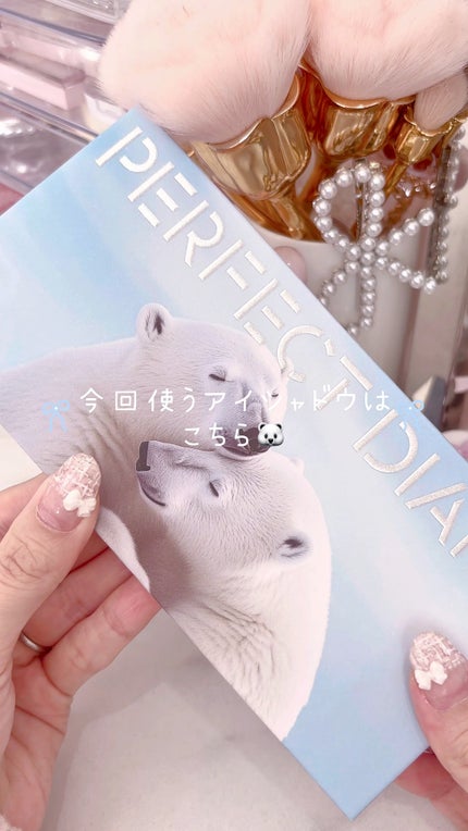 エクスプローラ12色 動物アイシャドウパレット/PERFECT DIARY/アイシャドウパレットの人気ショート動画