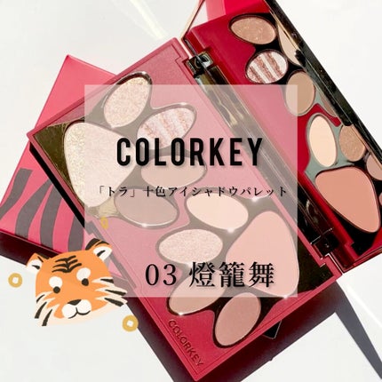 トラ十色アイシャドウパレット/COLORKEY/アイシャドウパレットの人気ショート動画