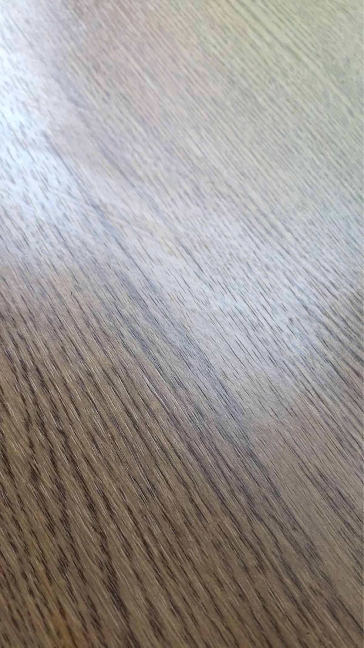 ボタニカルヘアミルク（モイスト）/BOTANIST/ヘアミルクの動画クチコミ4つ目