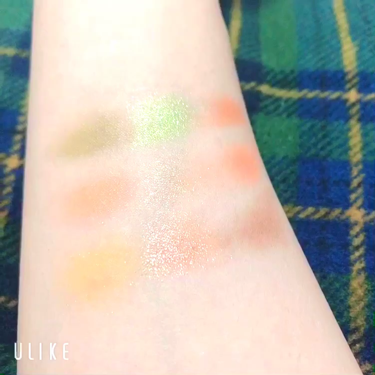 9COLOR EYE SHADOW BOX /HOJO/アイシャドウパレットを使ったクチコミ（3枚目）