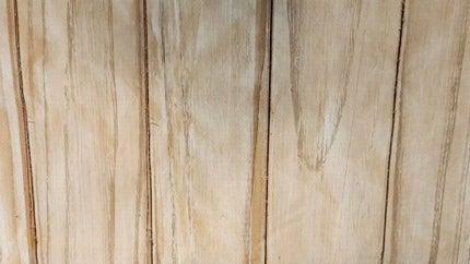 済州みかんセラム/ONE THING/美容液の人気ショート動画