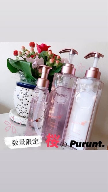 #PR
提供元／Purunt.

数量限定で発売された
プルント.ᐟ‪‪.ᐟ.ᐟ‪‪.ᐟ

本当に本当に
人気ありますよね♡🐷♡

私も大好きなシャントリのひとつです✨️

今回使ったのは
──────