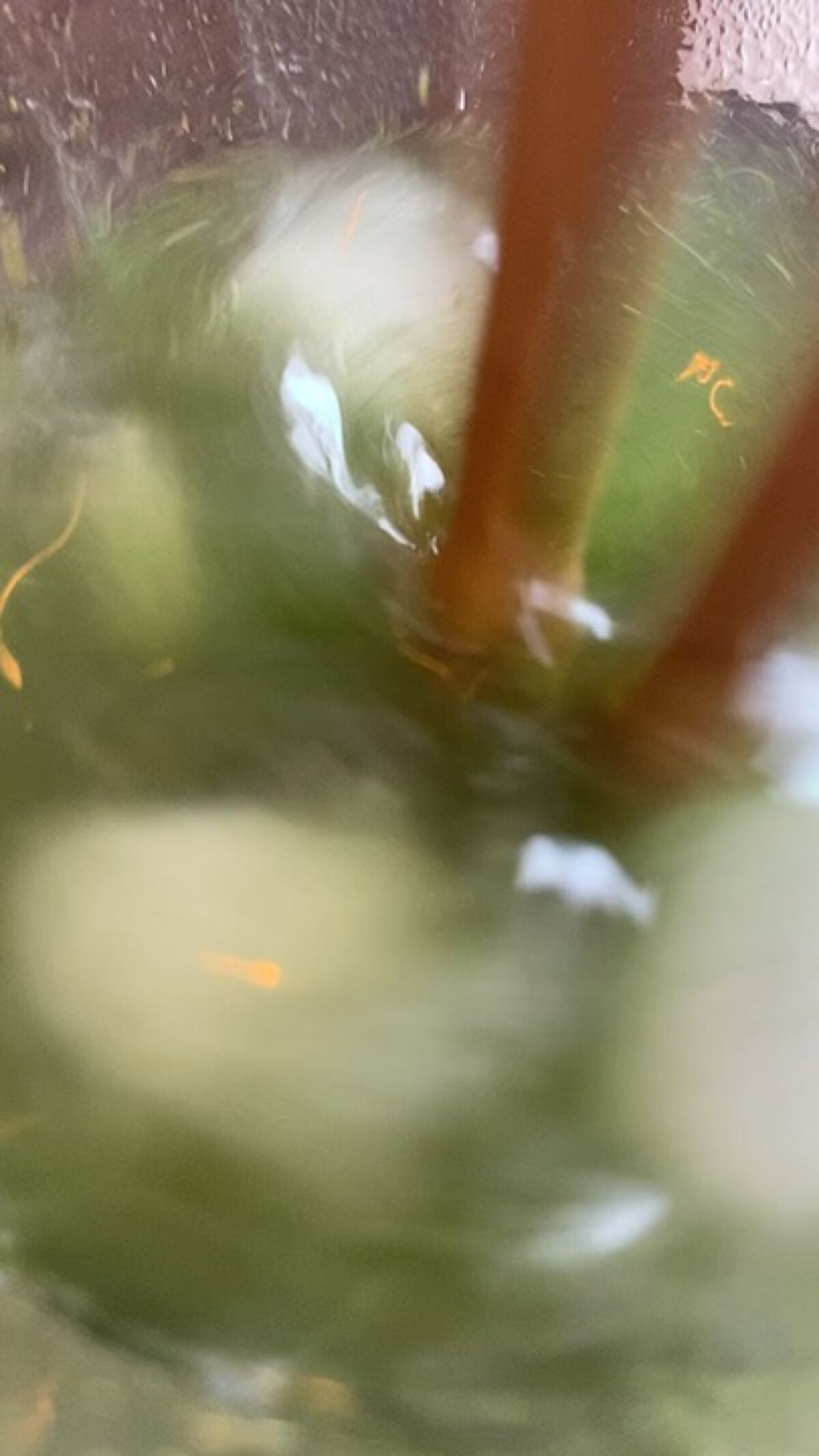 ベジパワープラス/ダイエットドリンク/ドリンクの人気ショート動画