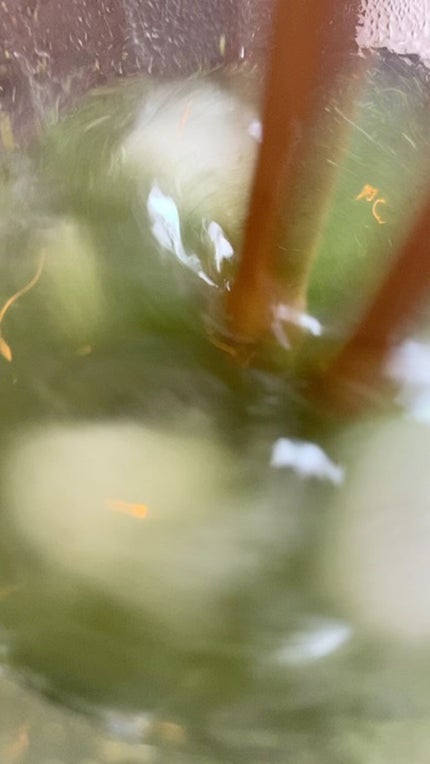 ベジパワープラス/ダイエットドリンク/ドリンクの人気ショート動画