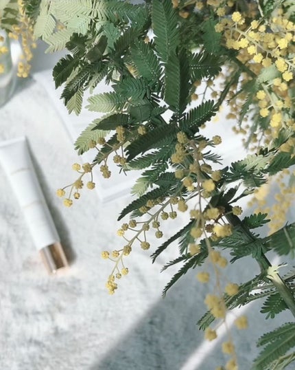 UVクリーム La premiere chose/MARIÉLAN/日焼け止めクリームを使ったクチコミ(3枚目)