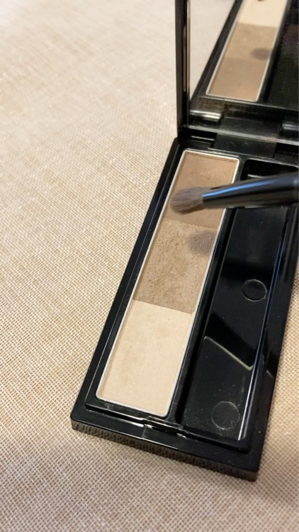 ヴィセ リシェ アイブロウパウダー/Visée/パウダーアイブロウの動画クチコミ3つ目