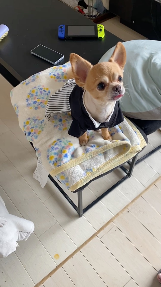 ヴェルニ ディオリフィック/Dior/マニキュアの動画クチコミ1つ目