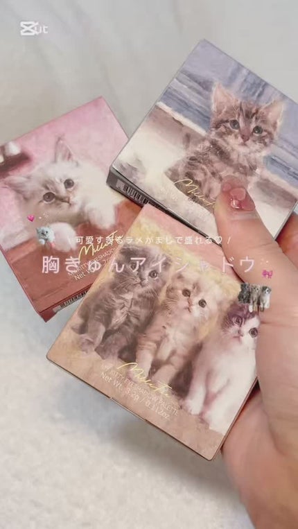 マイキティアイパレット/MilleFée/アイシャドウパレットの人気ショート動画