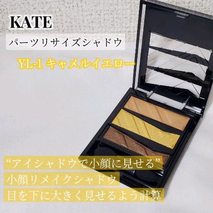 パーツリサイズシャドウ/KATE/アイシャドウパレットの人気ショート動画